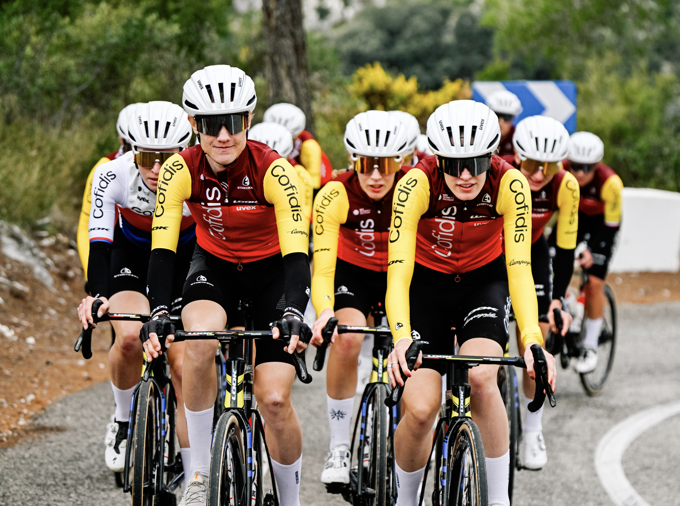 Women's Continental Pro Team