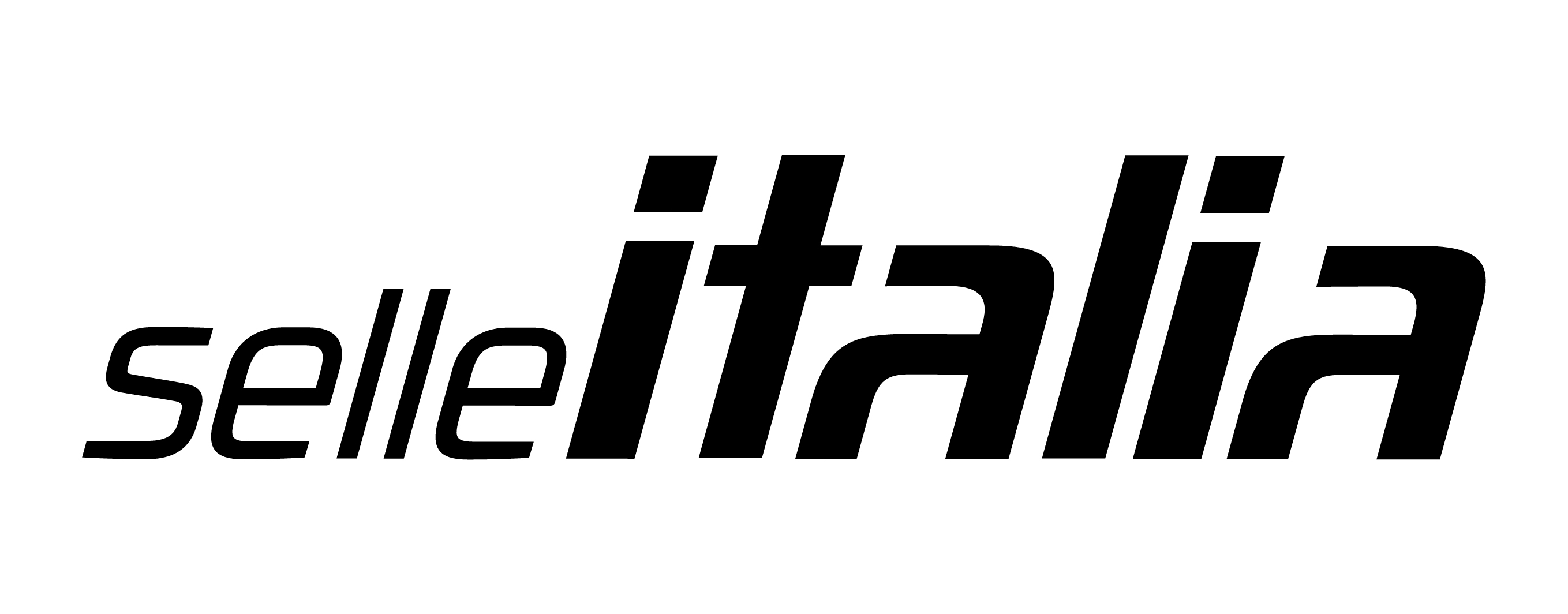 logo du partenaire Selle Italia